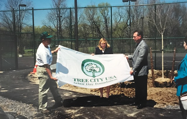 Town of Amherst Named Tree City